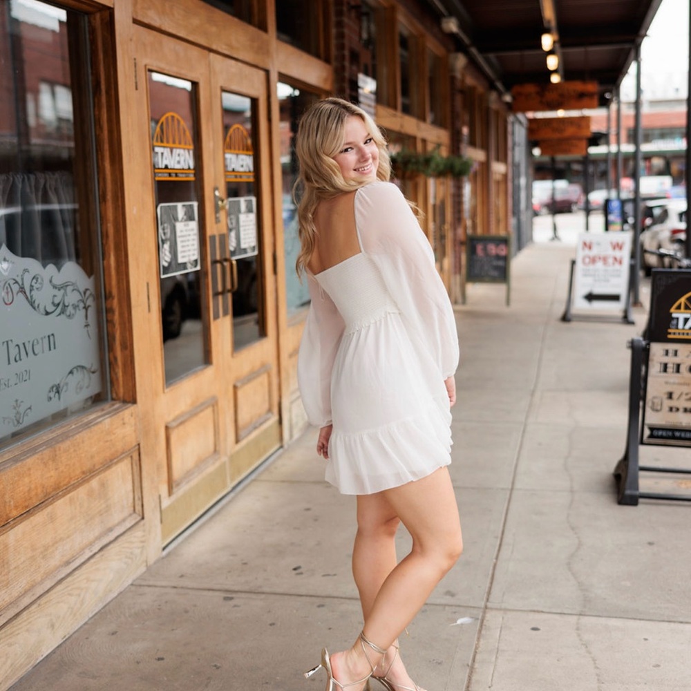 Aritzia Dress